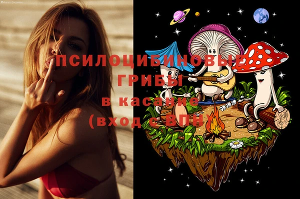 крисы Богданович