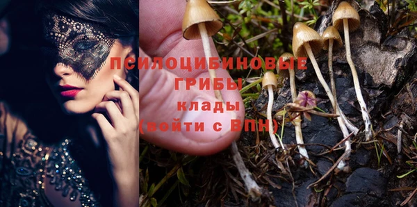метадон Белокуриха